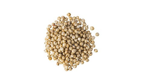 Organic Sorghum 500g