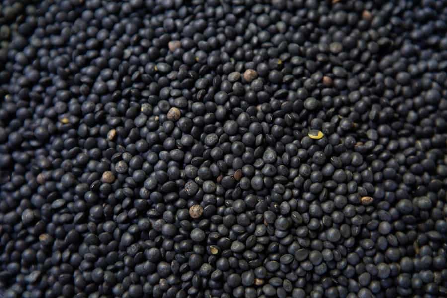 Beluga Lentils 1Kg